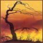 thumb_1460 (Medium).jpg